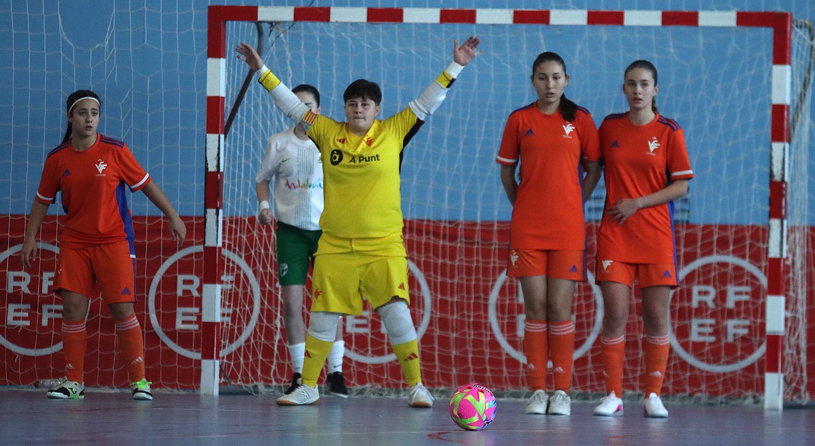 WhatsApp Image 2026-02-18 at 13.36.50 (6)